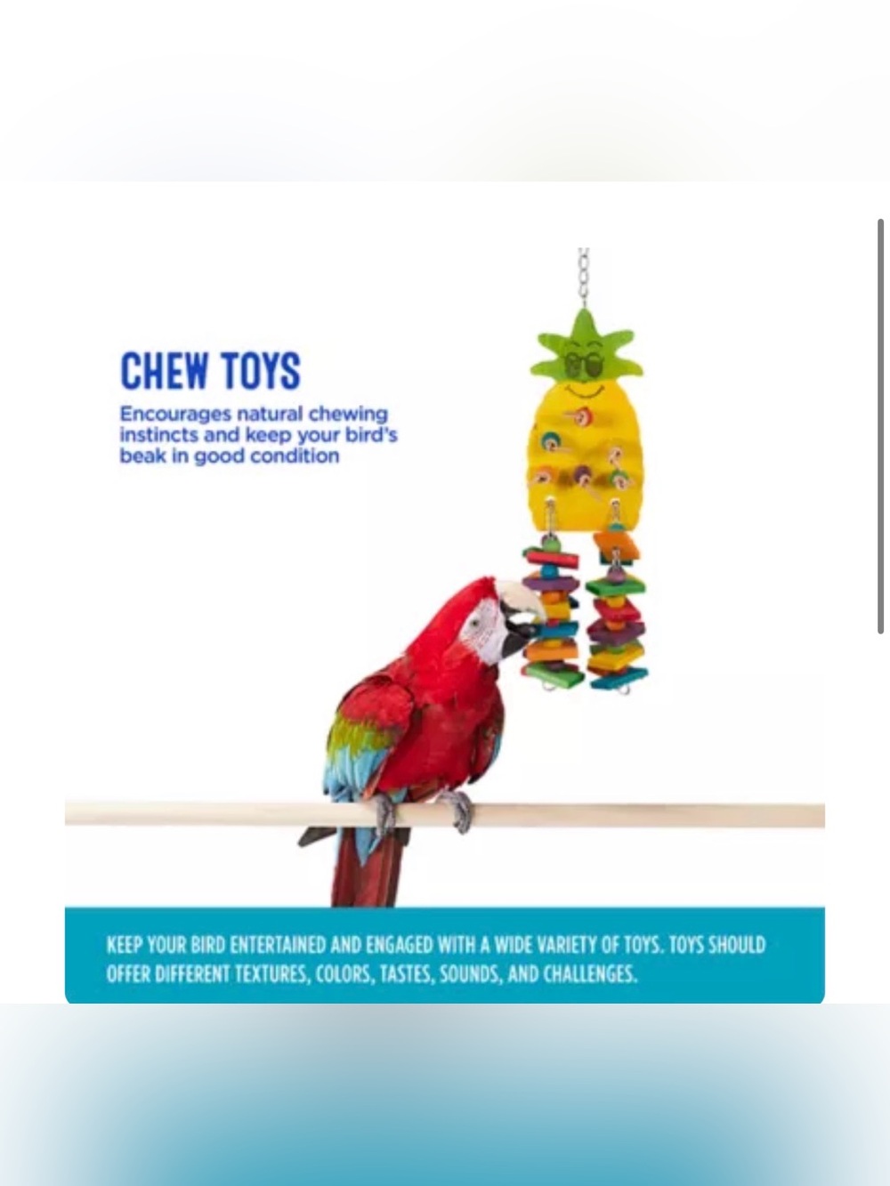 All Living Things® Pineapple Chew Bird Toy